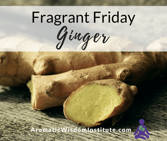 Fragrant Friday: Ginger (Zingiber officinale)