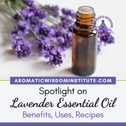 Fragrant Friday: Lavender Essential Oil Profile Spotlight (Lavandula ...