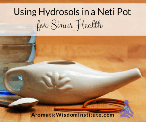 hydrosols-neti-pot-sinus-health