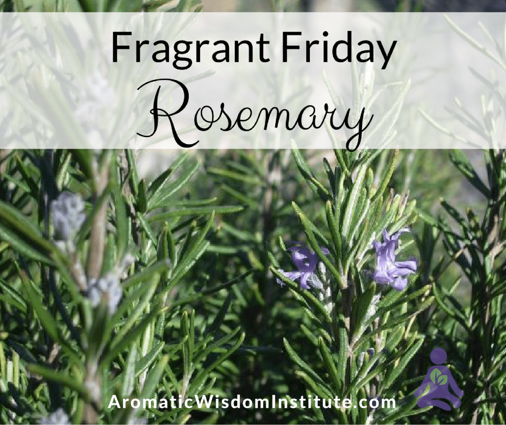 ff-rosemary-graphic