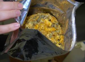 CalendulainBag