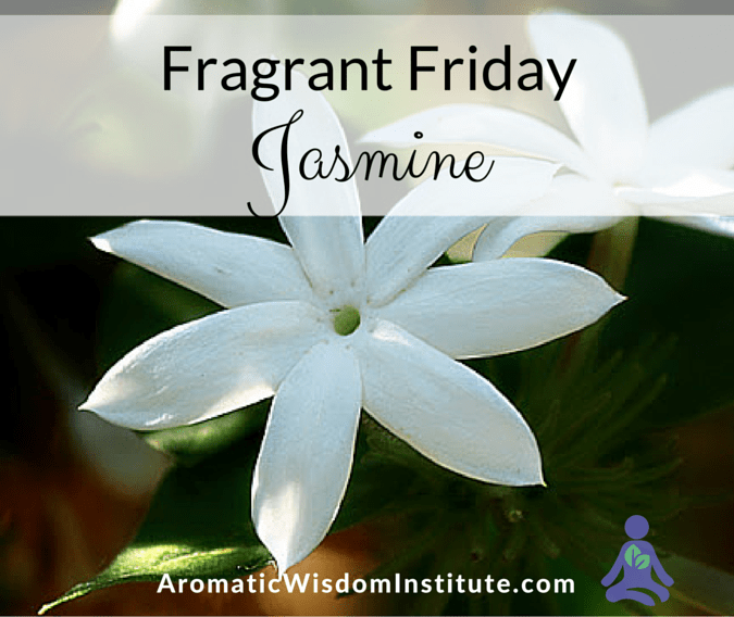 Jasmine Absolute Essential Oil - Aromatics International