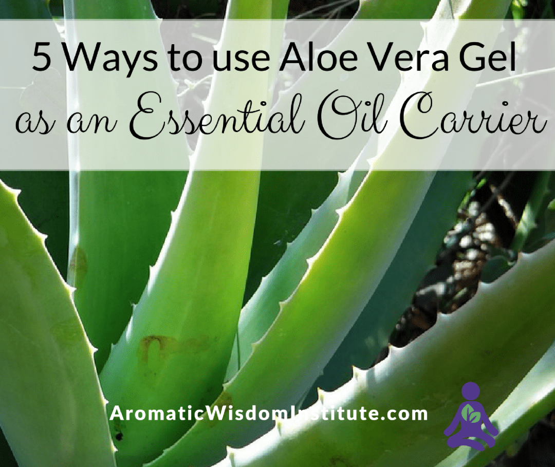 5 Ways To Use Organic Aloe Vera Gel As An Essential Oil Carrier