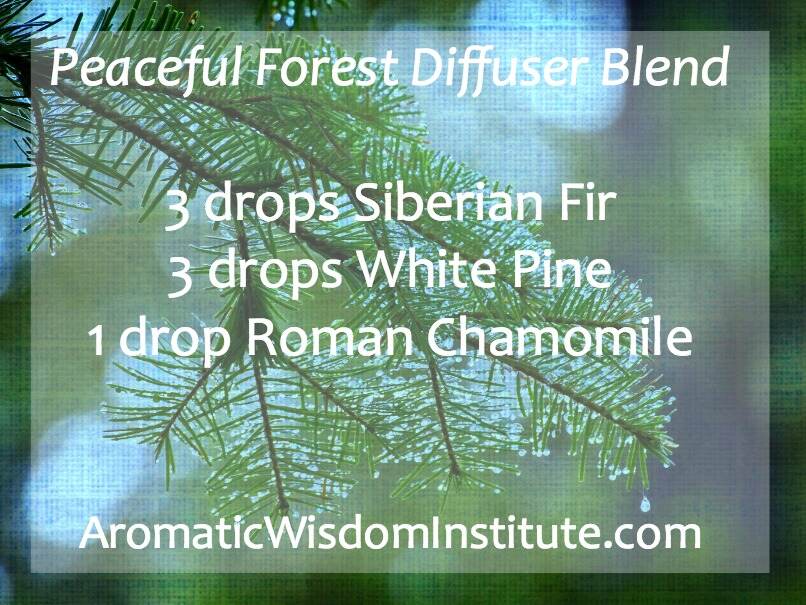 PeacefulForestDiffuserGraphic