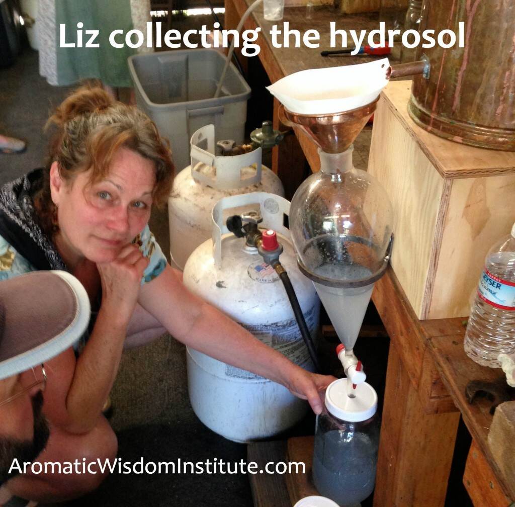 LizHydrosolCollection