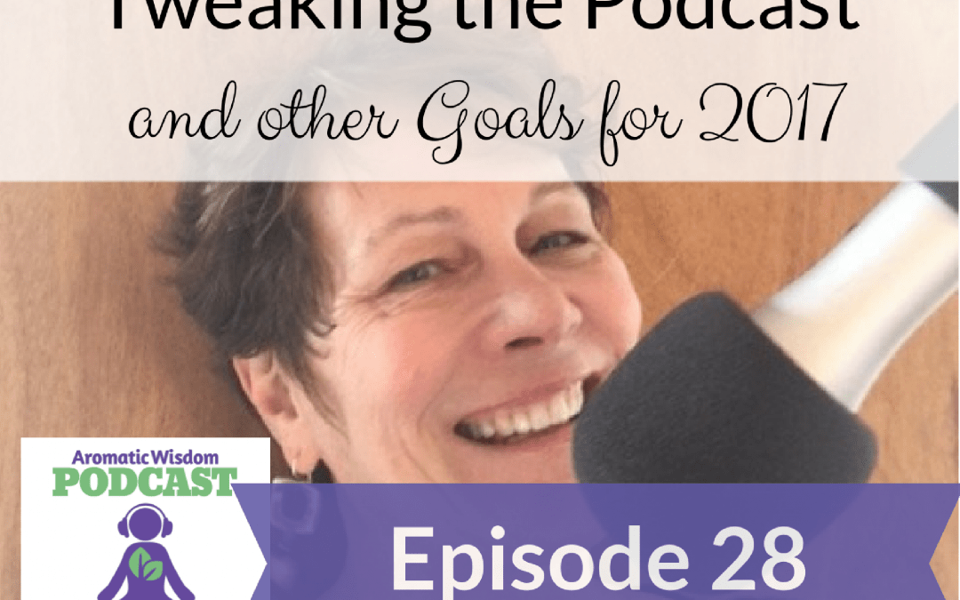 AWP 028: Tweaking the Podcast and Other Goals for 2017