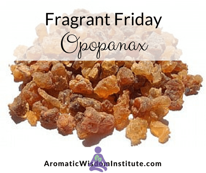 FragrantFriday-Opopanax-Graphic (1)