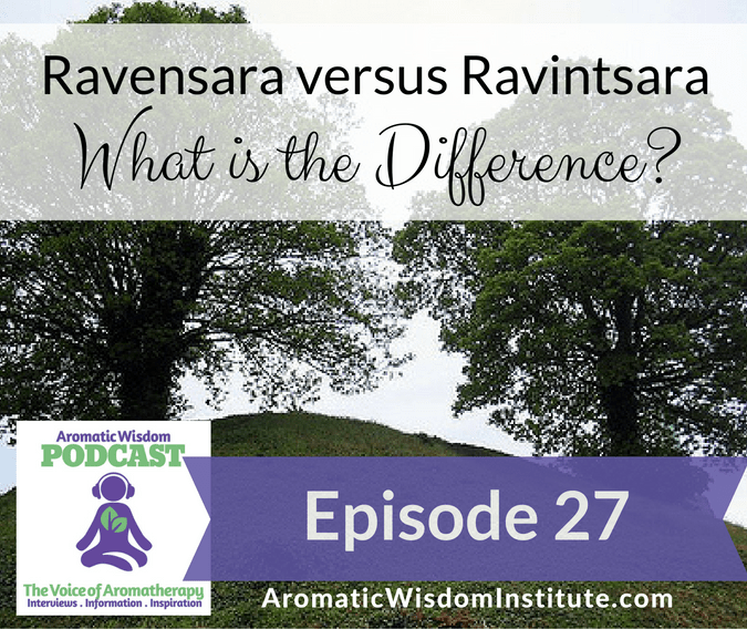 AWP 027: Ravensara versus Ravintsara – What’s the Difference