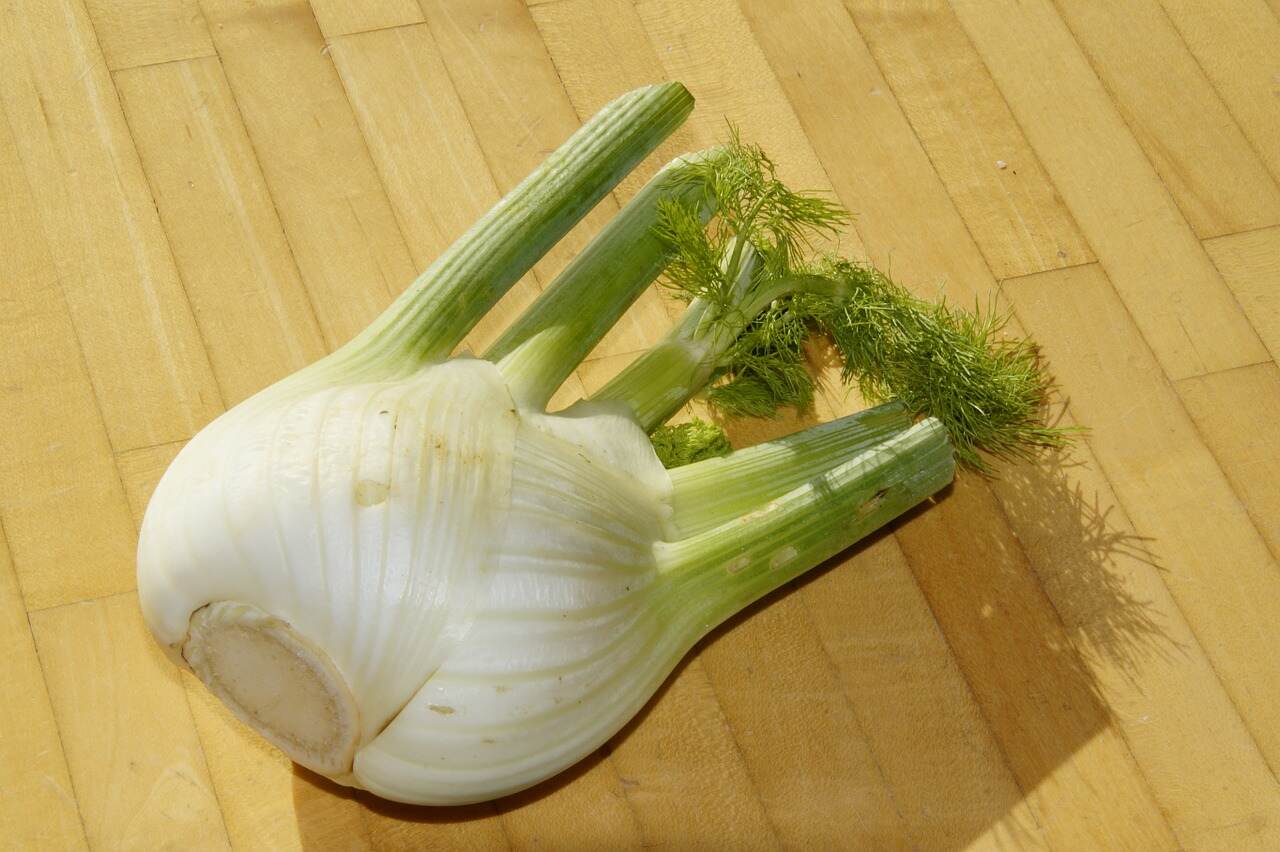 fennel-cutting-board-pixabay