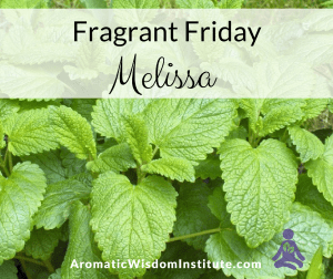 Fragrant Friday Melissa