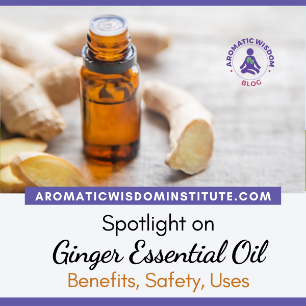 Fragrant Friday: Ginger Essential Oil Profile Spotlight (Zingiber officinale)