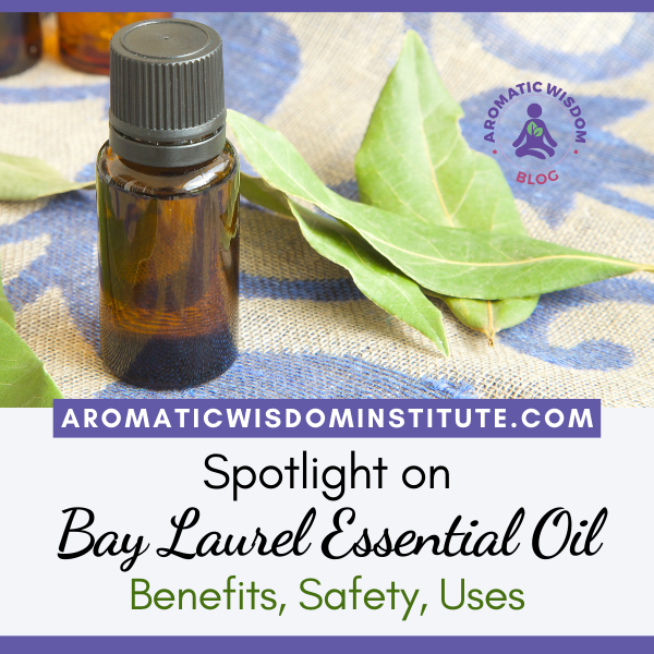 Fragrant Friday: Bay Laurel/Laurel Leaf Essential Oil Profile Spotlight