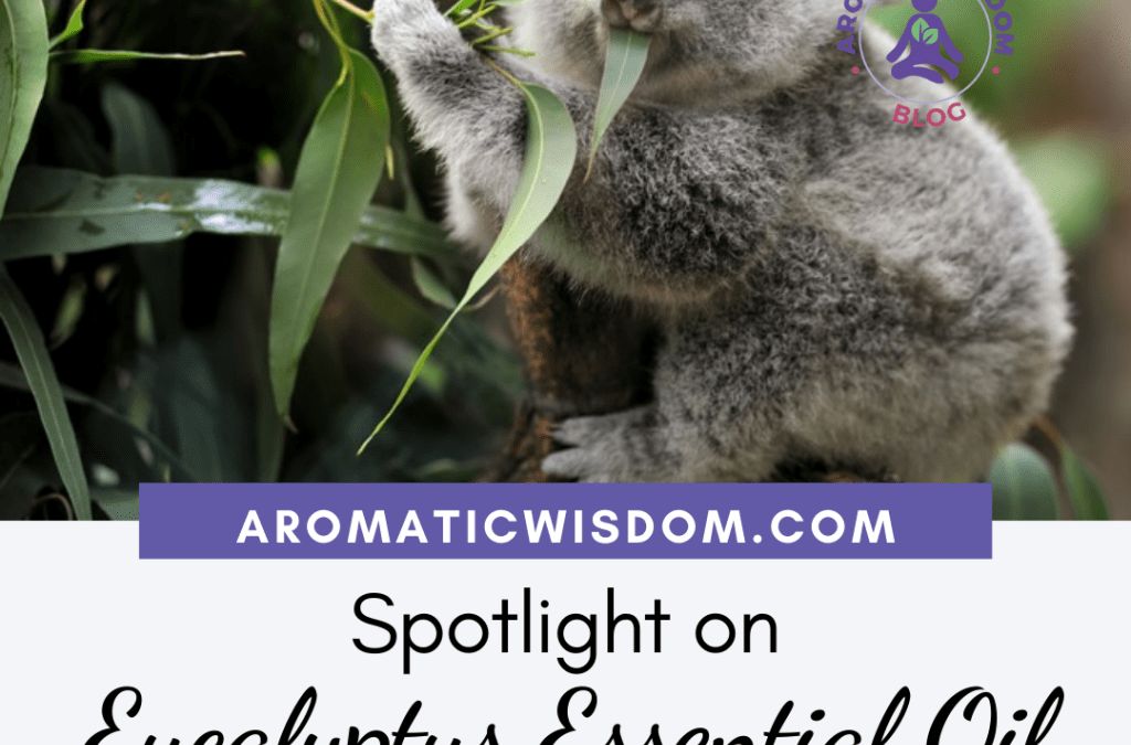 Fragrant Friday: Spotlight on Eucalyptus (Eucalyptus globulus) Essential Oil Profile