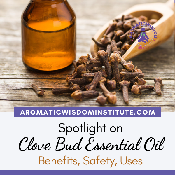 Fragrant Friday: Clove Bud Essential Oil Profile Spotlight