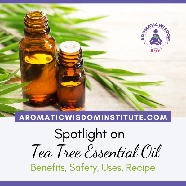 Fragrant Friday: Tea Tree Essential Oil Profile Spotlight