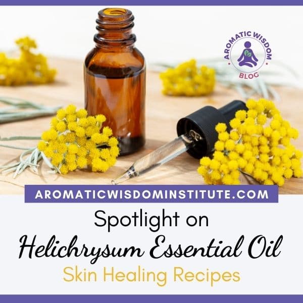 Fragrant Friday: Helichrysum italicum Essential Oil Profile – Uses and Benefits