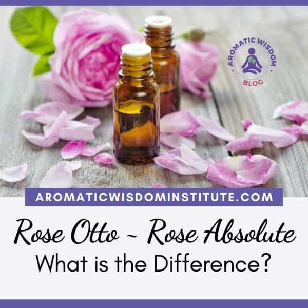 Bottles of Rose Oil, Rose Otto and Rose Absolute. What is the Difference?