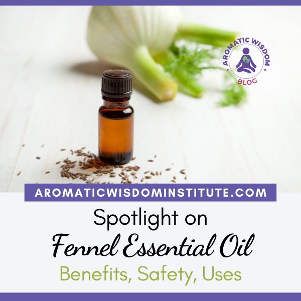 Fragrant Friday: Fennel Essential Oil Profile Spotlight (Foeniculum vulgare)