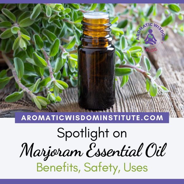 Fragrant Friday: Sweet Marjoram Essential Oil Profile Spotlight (Origanum majorana)