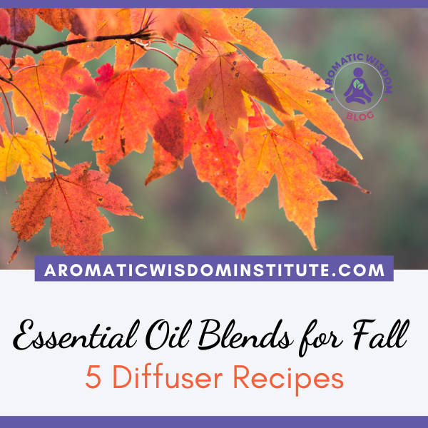 5 Cozy DIY Essential Oil Diffuser Blends for Fall