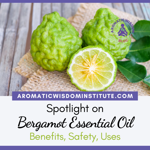 Fragrant Friday: Bergamot Essential Oil Profile Spotlight (Citrus bergamia)