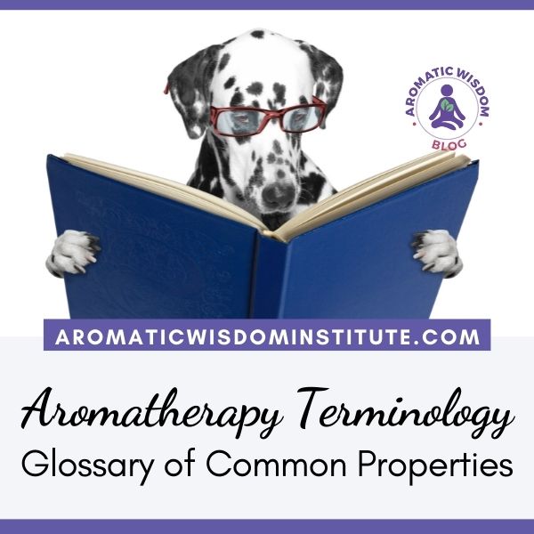 Glossary of the Most Common Essential Oil Properties and Aromatherapy Terms