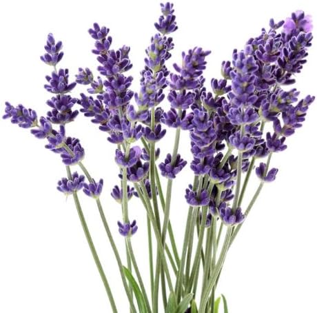 Sunburn Recovery Essential Oil Blend- With Lavender To Soothe Sunburne