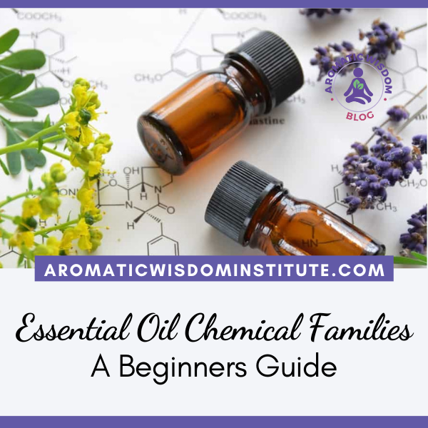 Essential Oil Chemical Families: A Beginners Guide