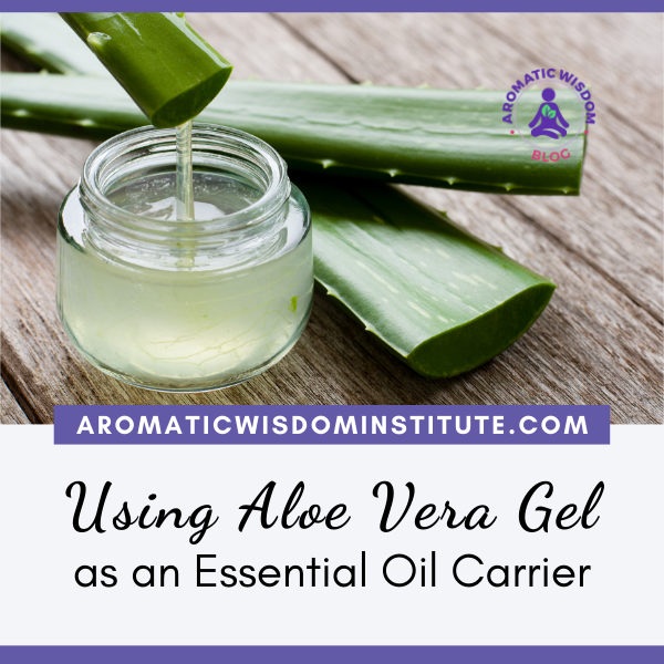 Organic Aloe Vera Gel: 5 Ways to Use Aloe as an Essential Oil Carrier