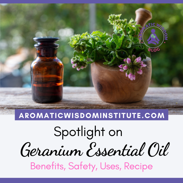 Fragrant Friday:  Spotlight on Geranium (Pelargonium graveolens) Essential Oil Profile