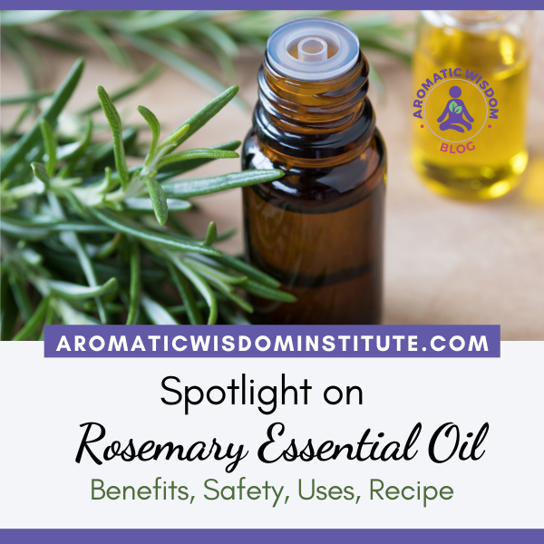 Fragrant Friday: Rosemary Essential Oil Profile Spotlight  (Salvia rosemarinus/Rosmarinus officinalis)