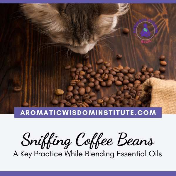 Why Aromatherapists and Perfumers Use Coffee Beans to Clear Their Olfactory Palette